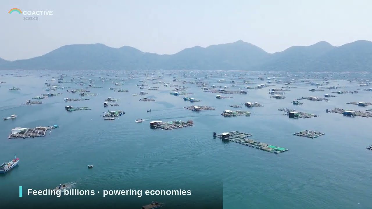 Aquaculture pens on a bay, from the Coactive coastal resilience video
