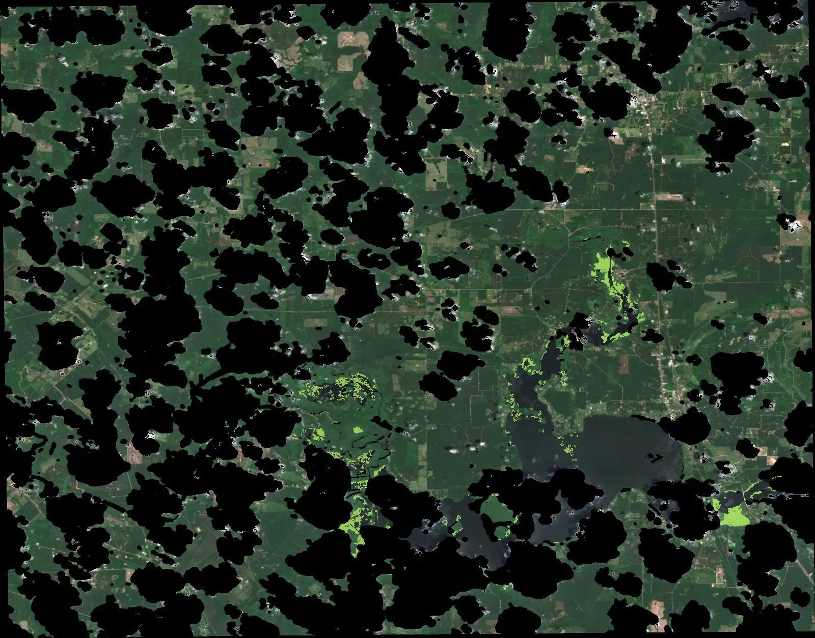 Caddo Lake, June 2026, with detected giant salvinia highlighted